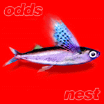 nest.gif (8154 bytes)